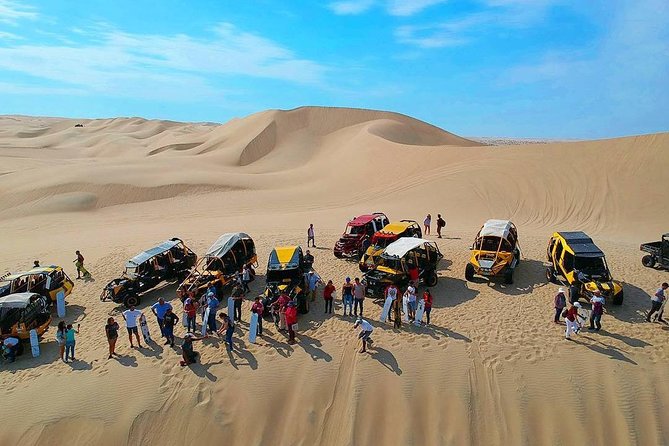 Paracas and Ica Full Day From Lima - Paracas National Reserve