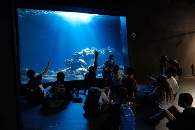 Paris: Aquarium Entry Ticket & Self-Guided Eiffel Tower Tour - Aquarium De Paris Experience