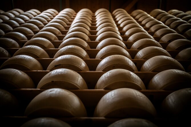 Parmigiano and Culatello Private Tour With Lunch and Farm Visit - Tour Languages and Meeting Point