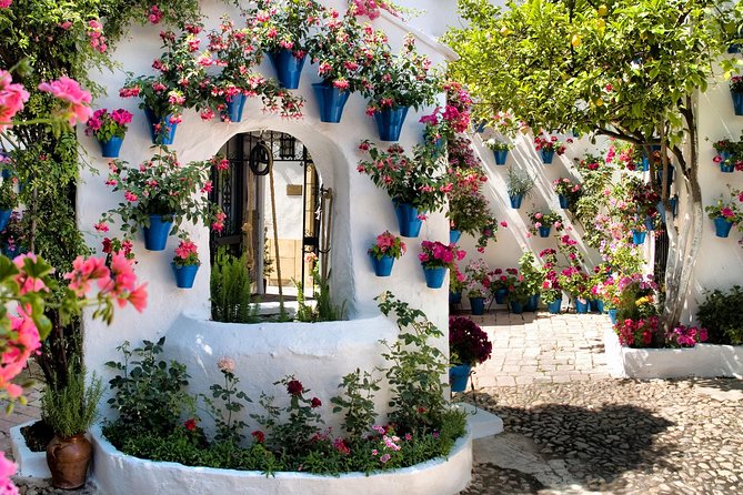 Patios Tour in Cordoba - Meeting and End Points