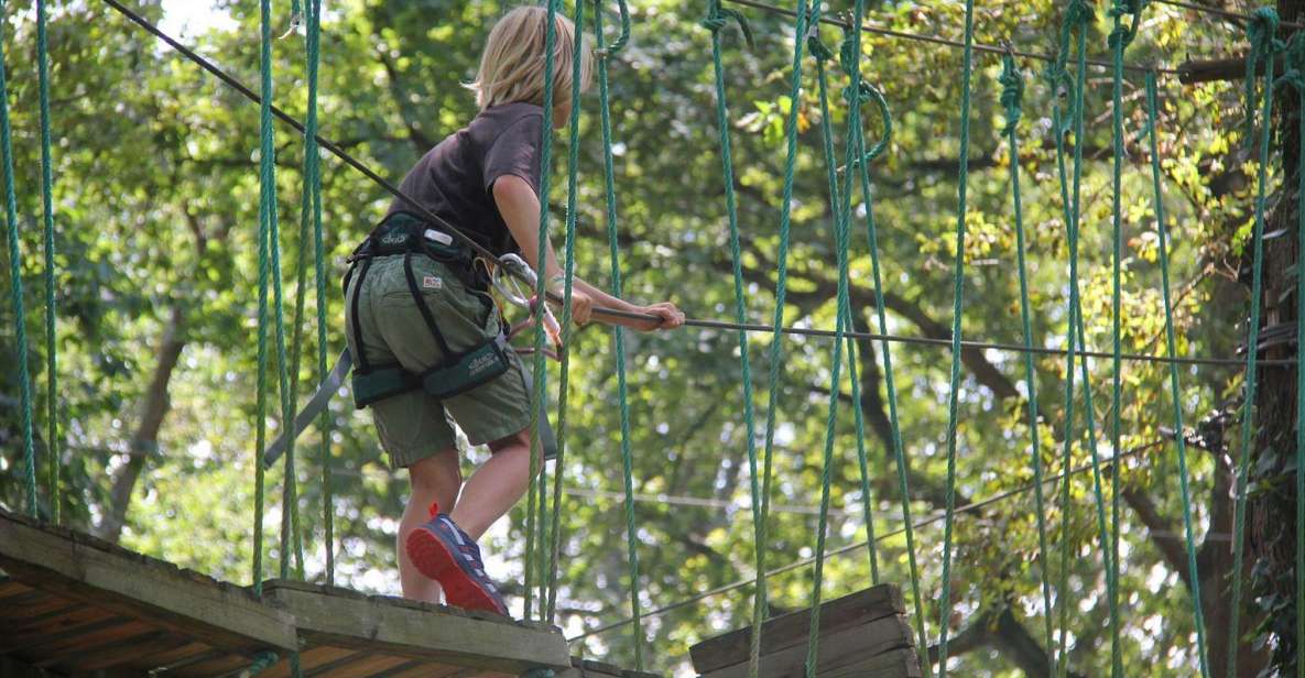 Pau - Tree Climbing - Lacq Adventure - Activity Details