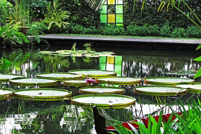 Penang Round Island Tour With Tropical Spice Garden & Entopia Butterfly Farm - Tropical Spice Garden