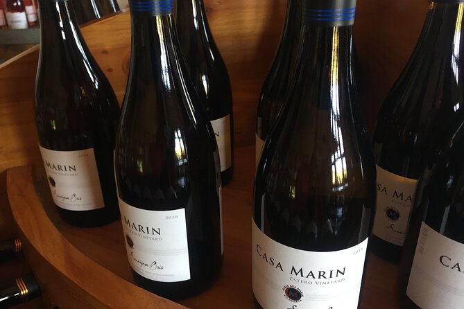 Penguins Poetry and Pinot Noir Tour in San Antonio Province - Inclusions and Pickup