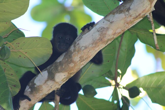 Personalized Private Tour Experience - Costa Rica - Inclusion and Pricing