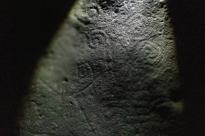 Petroglyphs - Tour Inclusions