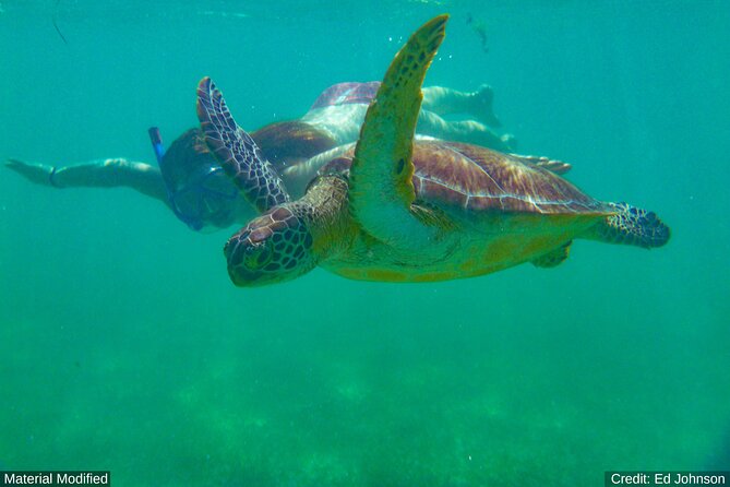 Philippines: See & Experience It ALL in 14 Days, 1st Class Custom Tours - Inclusions and Amenities