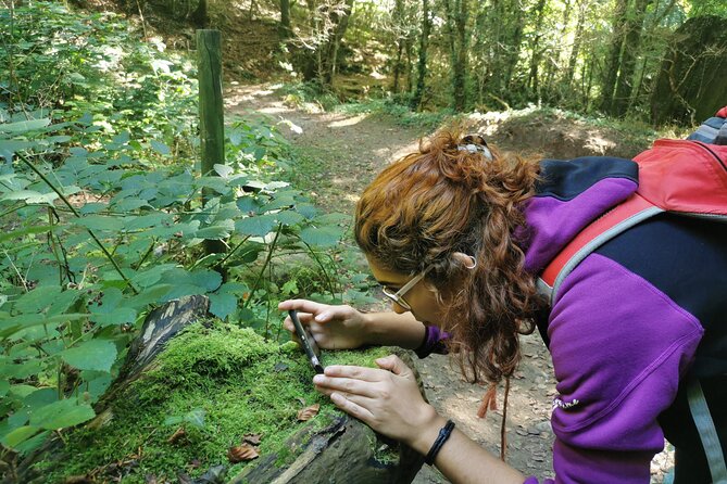 Photography Route Through the Secret Nature of Barcelona - Participation Details