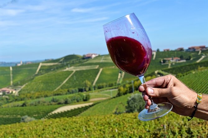 Piemonte Vineyards by Yourself From Turin by Luxury Van With English Chauffeur - Participant Policies