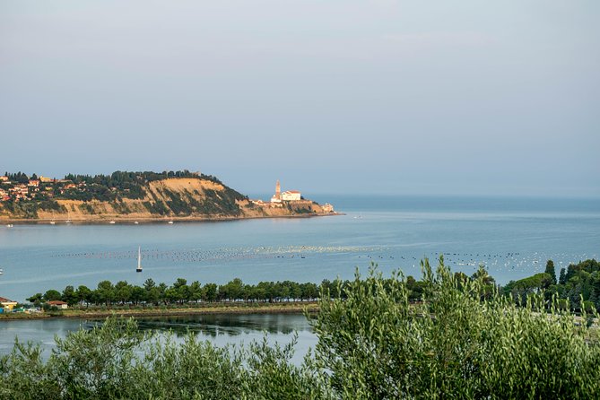 Piran Old Town Walking Tour - Accessibility and Requirements