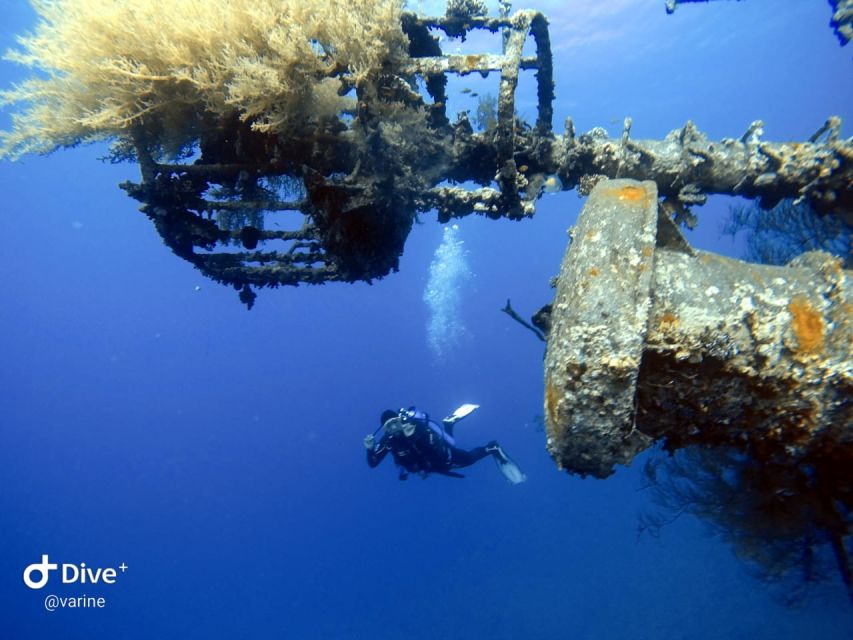 Pivate Scuba Diving in the Red Sea of Aqaba - Unique Diving Experiences