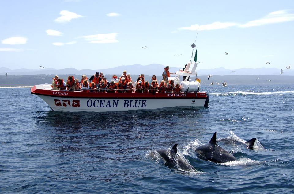 Plettenberg Bay: Dolphin and Marine Boat Tours - Exploring Plettenberg Bay