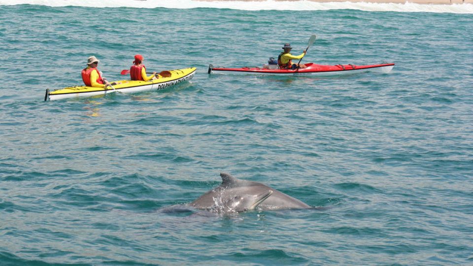 Plettenberg Bay: Guided Sea Kayak Tour - Tour Inclusions