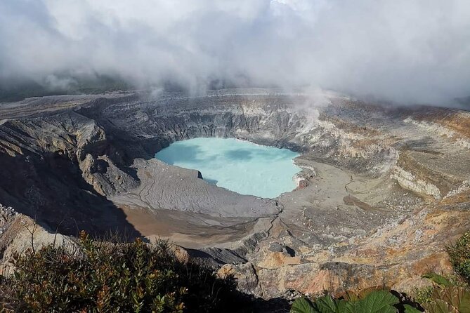 Poás Volcano, Coffee Plantation and La Paz Waterfall Gardens Tour - Inclusions and Highlights