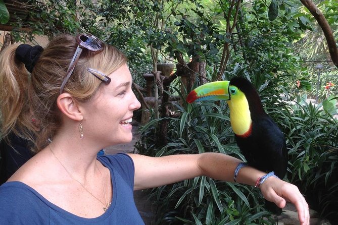 Poas Volcano & La Paz Waterfalls Gardens. Private Tour - Poas Volcano Details