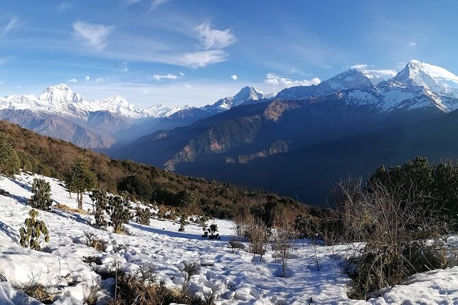 Pokhara: 4 Day Poon Hill Trek - Detailed Itinerary
