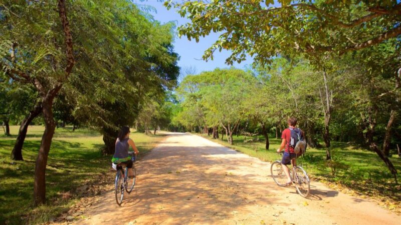 Polonnaruwa: All Inclusive Ancient City Guided Cycling Tour - Experience Highlights