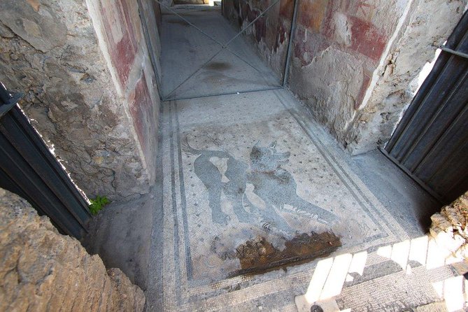 Pompeii Amalfi Unique Experience Tour - Pickup and Scheduling