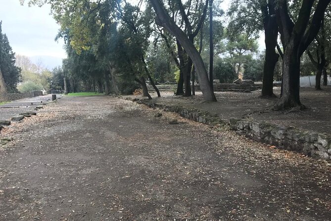 Pompeii - Private Tour (Skip-The-Line Admission Included) - Cancellation Policy