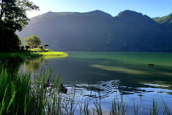 Ponta Delgada: Shore Excursion, Sete Cidades, Blue & Green Lake - Viator Help Centre Support