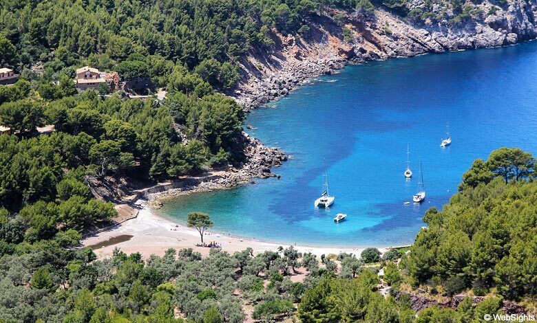 Port of Soller: Cala Tuent Return Boat Trip - Scenic Boat Experience