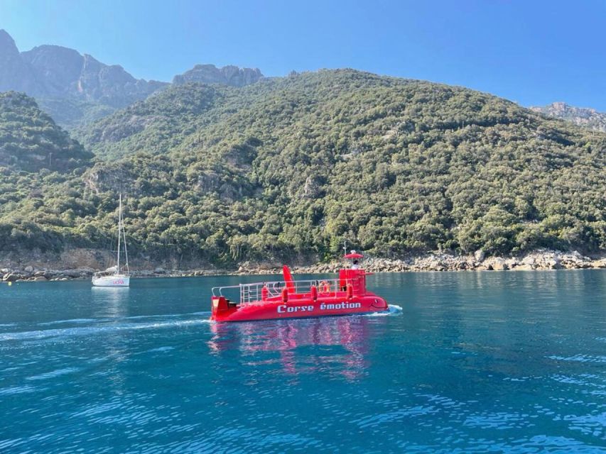 Porto : Discovery of the Marine Fauna and Flora/Bay of Porto - Booking Information