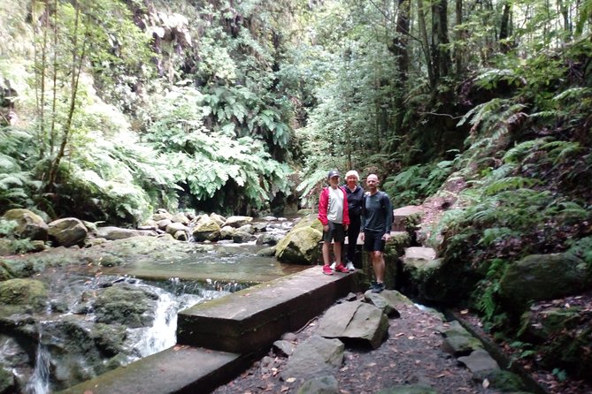 PR18 Levada Do Rei Private Transfer - Driver and Experience