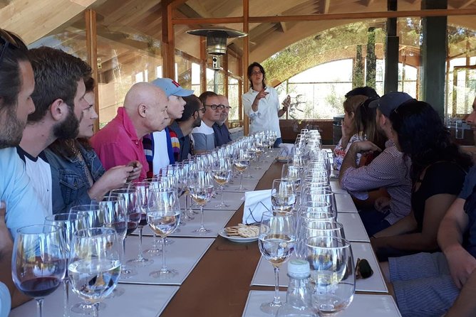 Pre or Post Valparaiso Cruise With Santiago City Tour and Optional Vineyard - Guest Feedback and Ratings