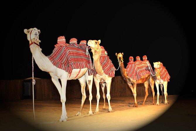 Premium Desert Safari, Live BBQ Dinner, Sandboarding & Camel Ride (Private Car) - Meeting and Pickup Information