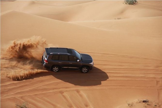 Premium Full-Day Safari, Dune Bash, Camel Ride and BBQ Meal in Desert Camp - Experience Highlights