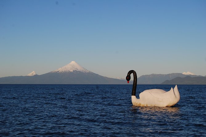Premium Small-Group Half Day Tour to Frutillar in Puerto Varas - Accessibility