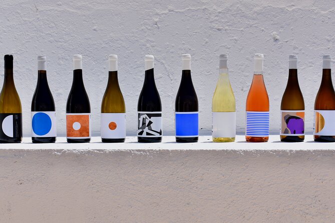 Premium Vineyard Tour & Tasting - Experience Highlights
