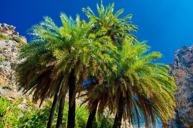 Preveli Palm Beach Boat Cruise & Rethymnon Town From Heraklion - Itinerary Highlights