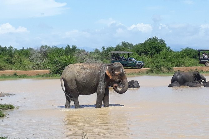 Private 2-Day Trip To Mirissa Beach And Yala From Colombo - Day 1 Itinerary