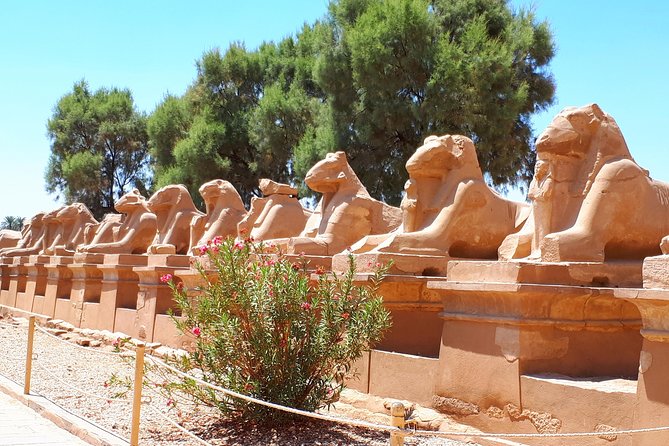 Private 2 Days The Best of Luxor - Day 1 Highlights