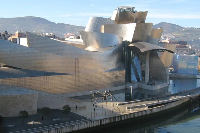 Private 4-Hour City Tour of Bilbao With Hotel or Cruise Port Pick-Up - Traveler Experience