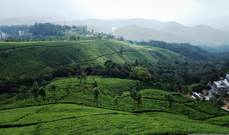 Private 5-Days Kerala Tour With Sightseeing Tickets - Itinerary Highlights