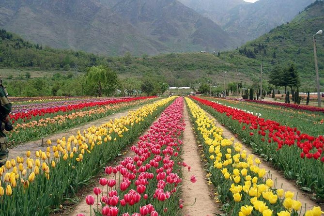 Private 6 Days Splendid Kashmir Tour - Itinerary Highlights