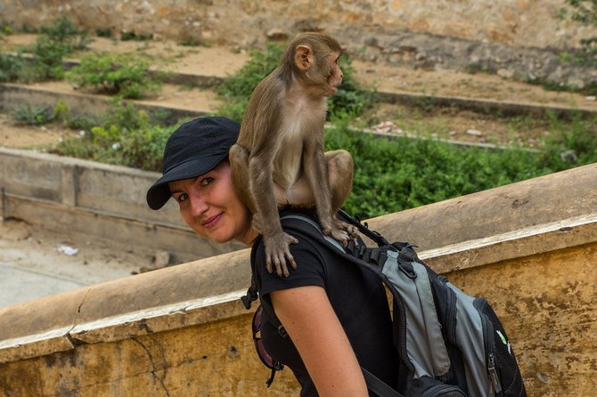 Private 6 Hours: Jaipur Temples Tour - Key Inclusions and Amenities