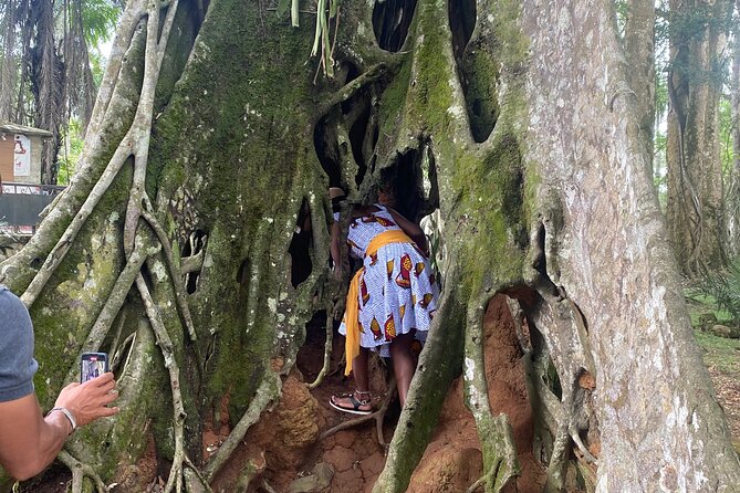 Private Aburi Hill Guided Tour - Pickup and Meeting Details