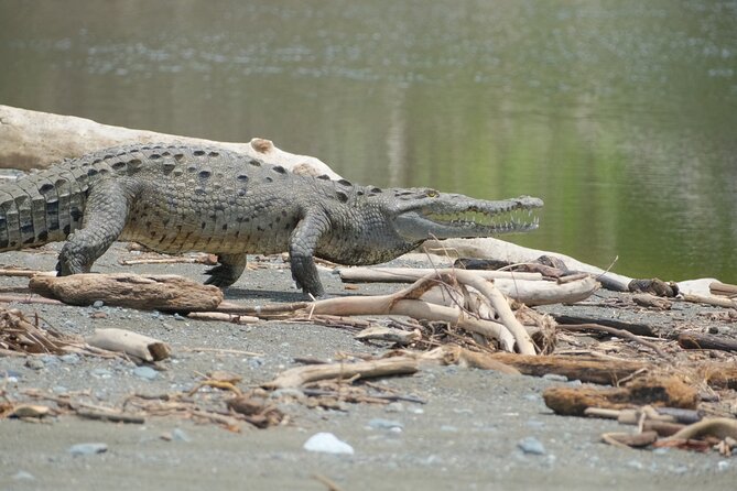 Private Adventure Tour in Corcovado National Park - Hiking Routes