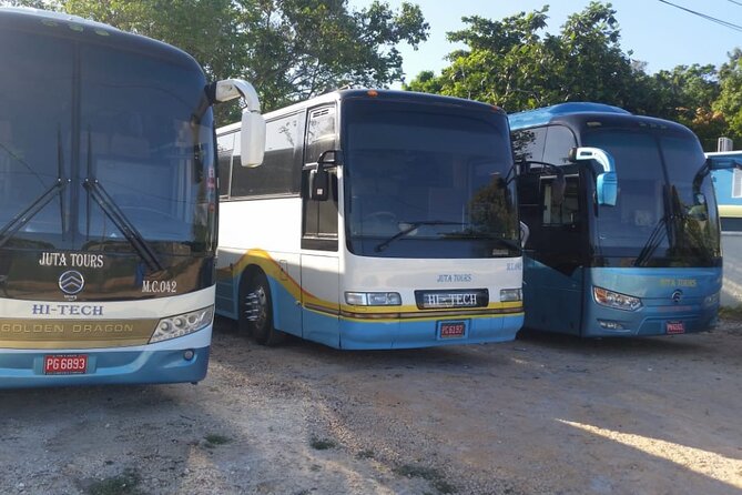 Private Airport Transfers To Negril Hotels and Villas - Amenities and Inclusions