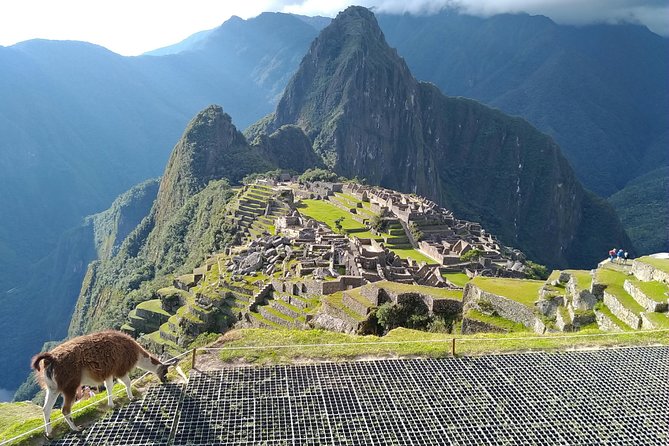 Private ALL Inclusive Full Day Tour of Machu Picchu From Cusco or Sacred Valley - Testimonials