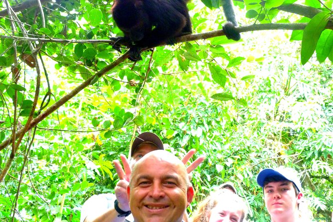 Private Altun Ha Maya Ruin & Howler Monkey Adventure From Belize City - Meeting and Pickup
