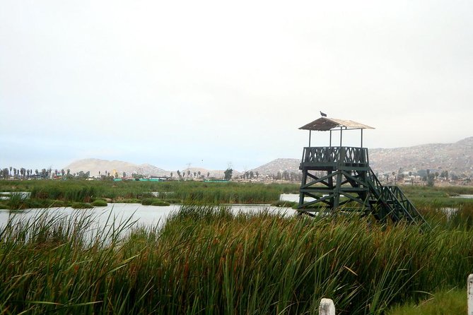Private and Exclusive Nature and Trek in Chorrillos - Exploring Pantanos De Villa