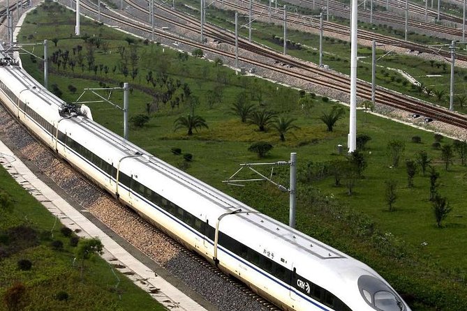 Private Arrival Transfer From Hongqiao Railway Station to Shanghai City - Driver Information