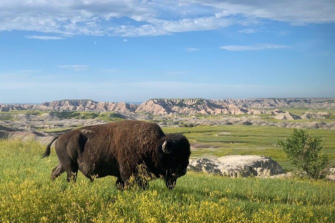 Private Badlands National Park Day Tour - Itinerary Details