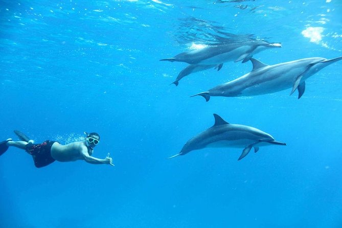 Private Boat Snorkeling Trip And Lunch Up To 10 Pax From Hurghada - Itinerary and Activities