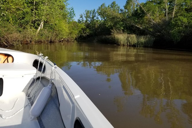 Private Boat TripTour to Tigre Delta - Delta El Tigre