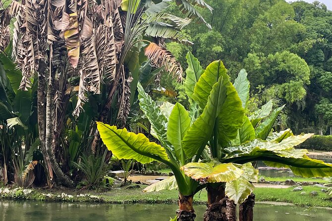Private Botanical Garden Tour in Rio De Janeiro - Scheduling and Availability