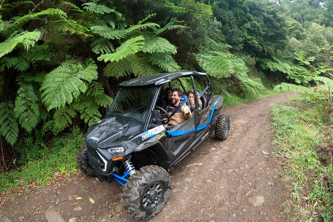 Private Buggy Off-Road Tour - Experience Highlights